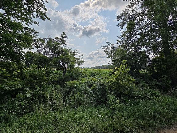 3rd image of 13 Mile Rd Parcel 5