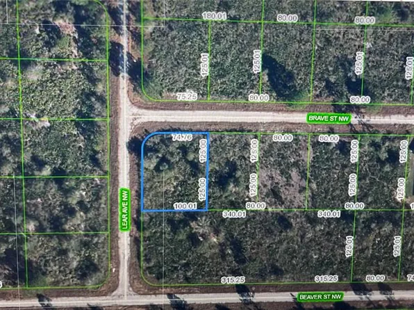 108 Lear Ave NW #1, Lake Placid, FL 33852