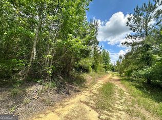 LOT 25 Rock Springs Rd, Dublin, GA 31021
