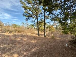 5th image of 160 Josie Ln