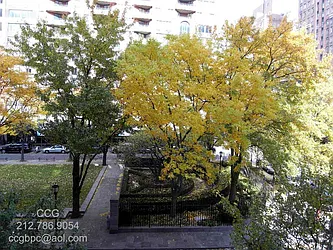 Sold by CCG Real Estate Brokerage