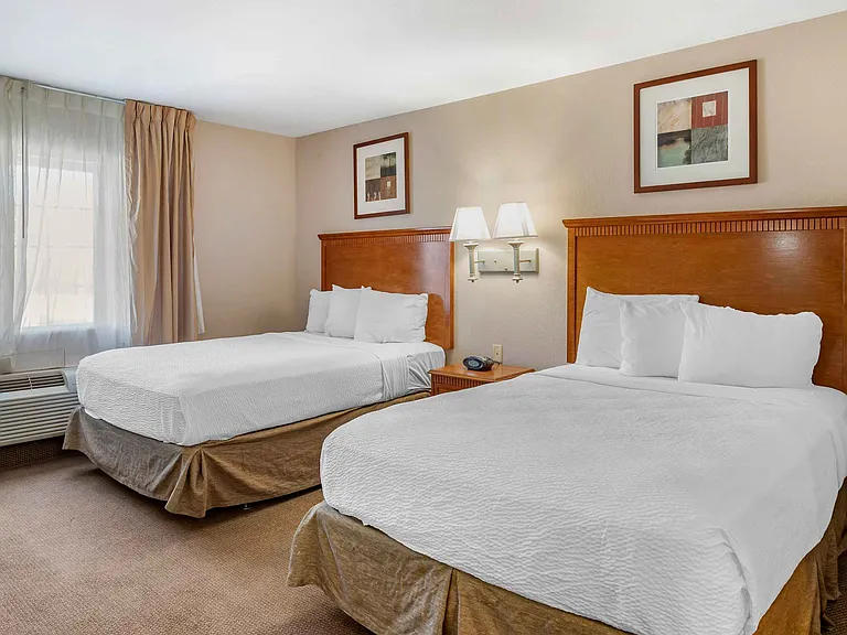 Studio Suite - 2 Full Beds