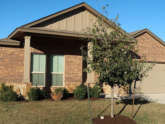 Landscaped Front Yard