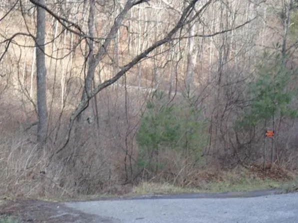 1142 Beckley Rd, Princeton, WV 24740