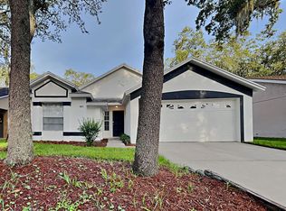 4011 Fontana Pl, Valrico, FL 33596