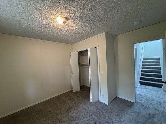 1 of 3 downstairs bedrooms