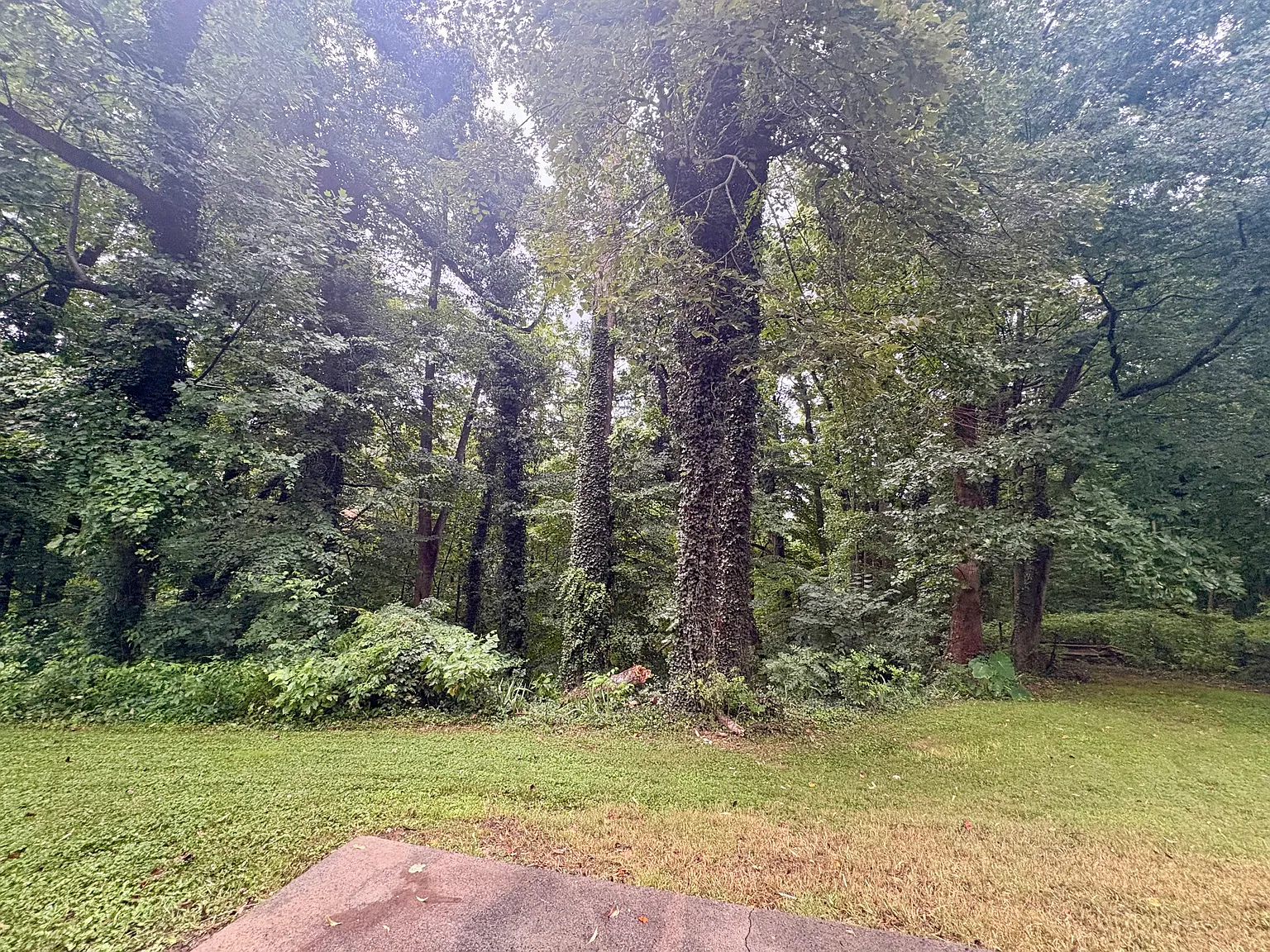 3 bed, 1769 sqft, $2,250 — Photo 4