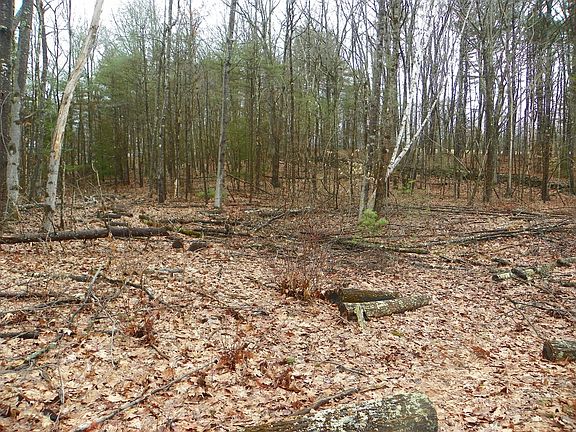 5th image of 24 Old County Rd
