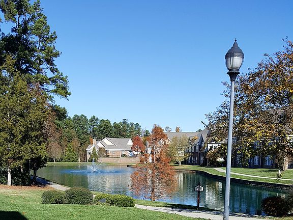 Beautiful view of pond