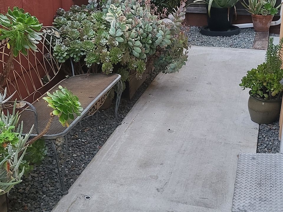 FRONT AND BACKYARD HAS LOTS OF PLANTS