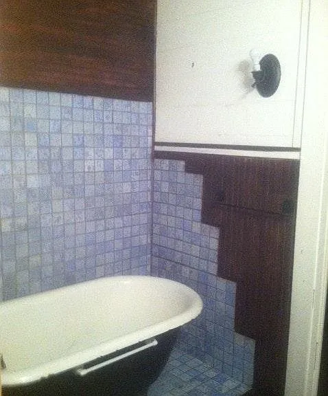 Tub with shower