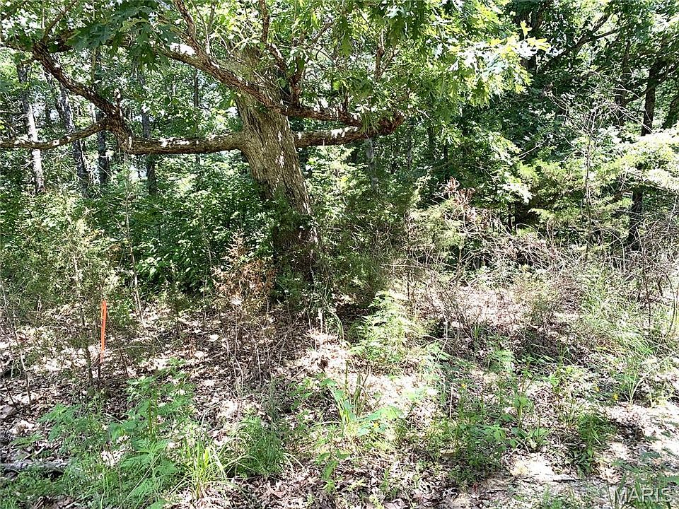 1st image of 0 Magnolia Blossom Dr