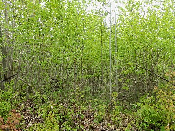 5th image of LOT 5 BEAVER DAM RD