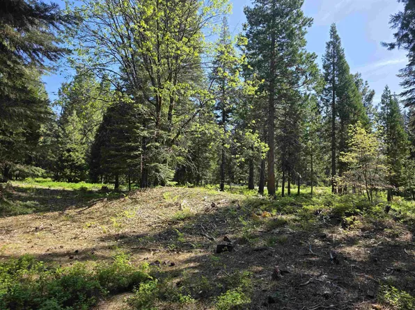 LOT 64 Old Mill Rd, McCloud, CA 96057