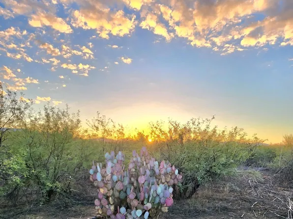13122 W DUSTY FLAT Place #-, Tucson, AZ 85735