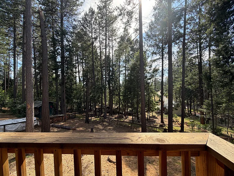 Backyard looking from covered deck