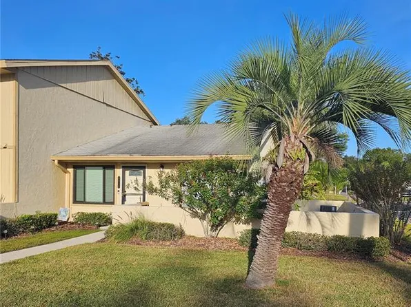 9015 Pebble Creek Dr, Tampa, FL 33647