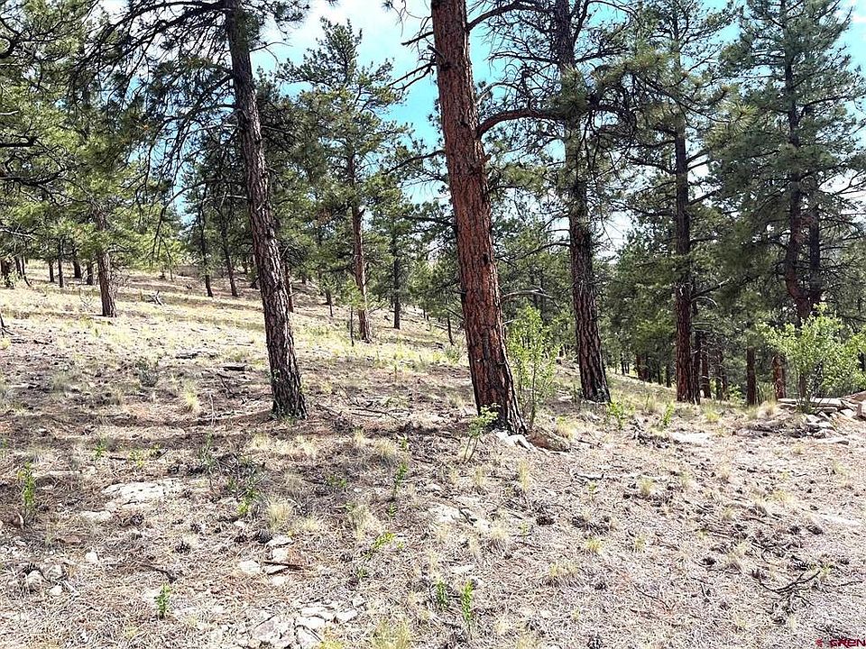 2nd image of 538 Church Creek Drive