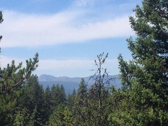 2nd image of Nhn Black Bear Dr