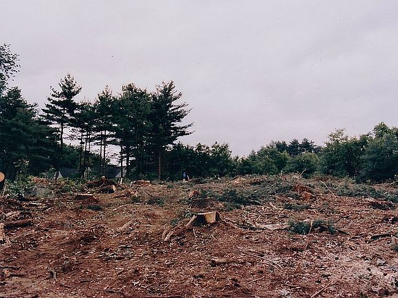 4th image of 10 Lancaster Dr