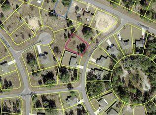 0 Malauka Radial Cir LOT 41, Ocklawaha, FL 32179