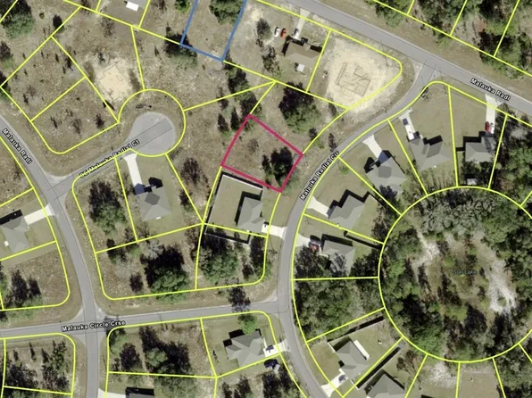 0 Malauka Radial Cir Lot 41, Ocklawaha, FL 32179