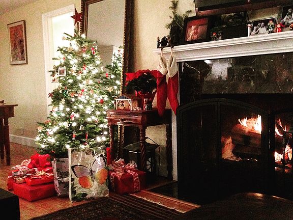 Wood burning fireplace.