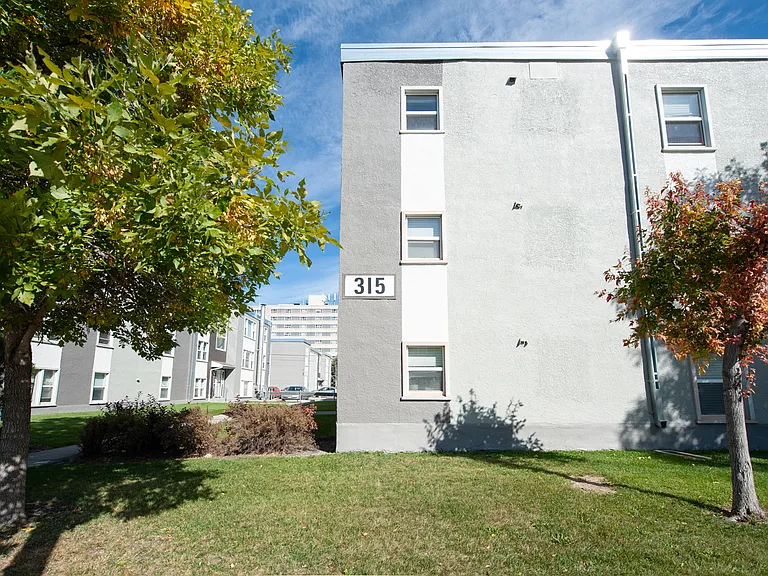 315 Marion St #7 — Photo 25