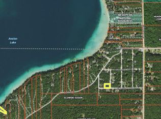 Robert Ave, Hillman, MI 49746