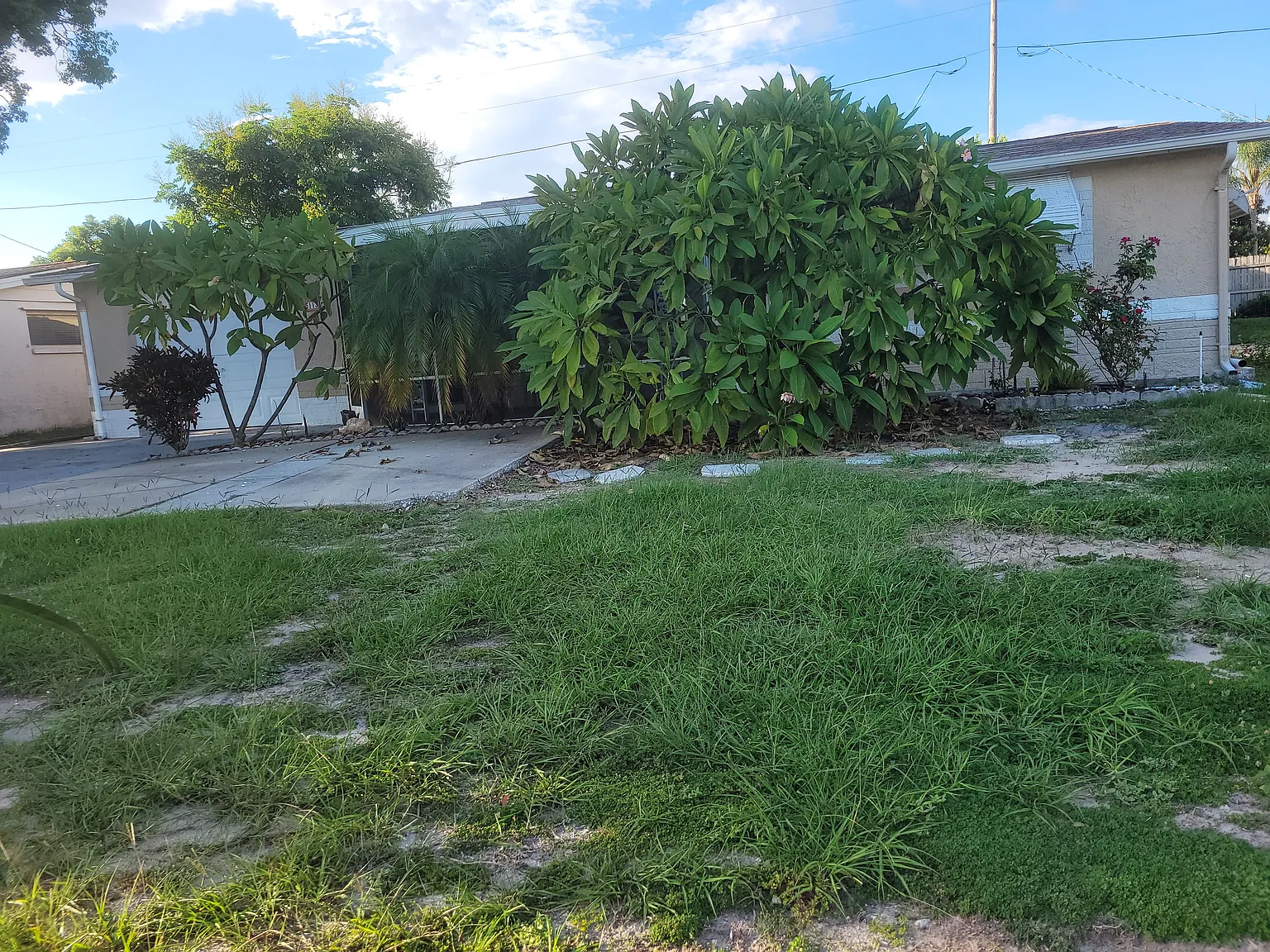 5113 Moog Rd — Photo 4