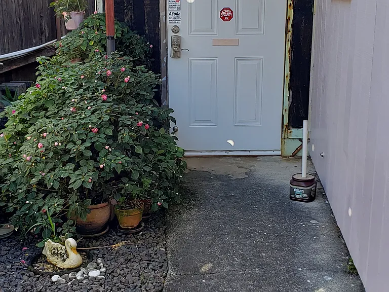 3337 Pakanu St — Photo 2