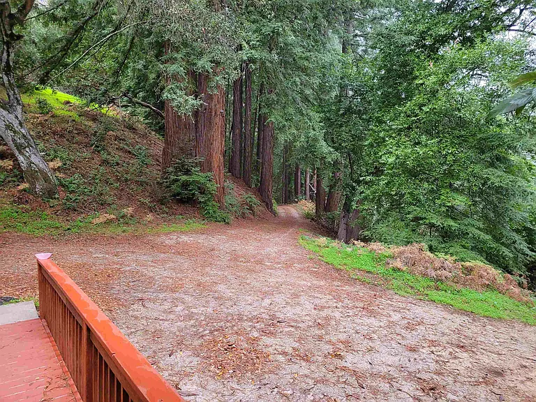 16885 Laurel Rd — Photo 33