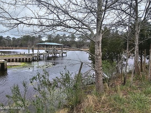 2nd image of 251 Alligator Loop Road