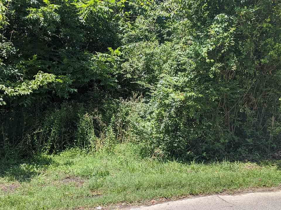2nd image of 31 Hunt Ave