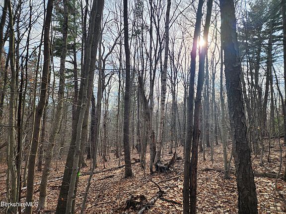 3rd image of Lindsey Hill Rd