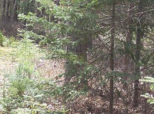 Mackinaw Straits Drive 22+ Acres, Cheboygan, MI 49721