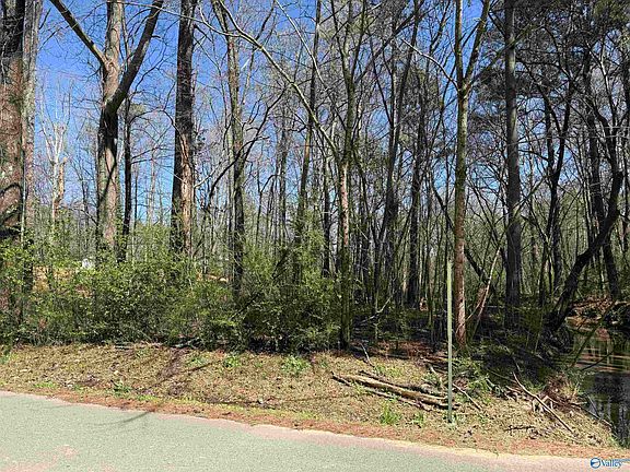 2nd image of Xx 10th St SW