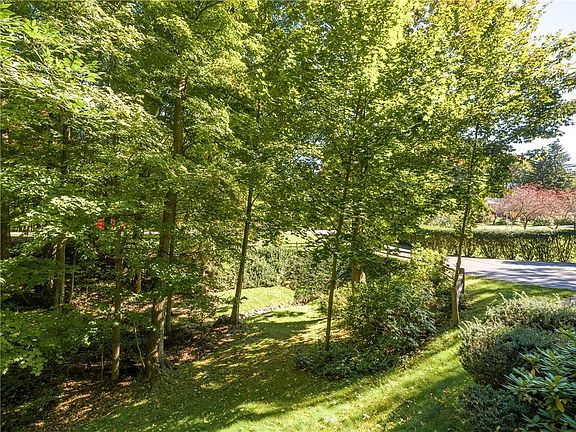 5th image of 317 Brooksboro Dr