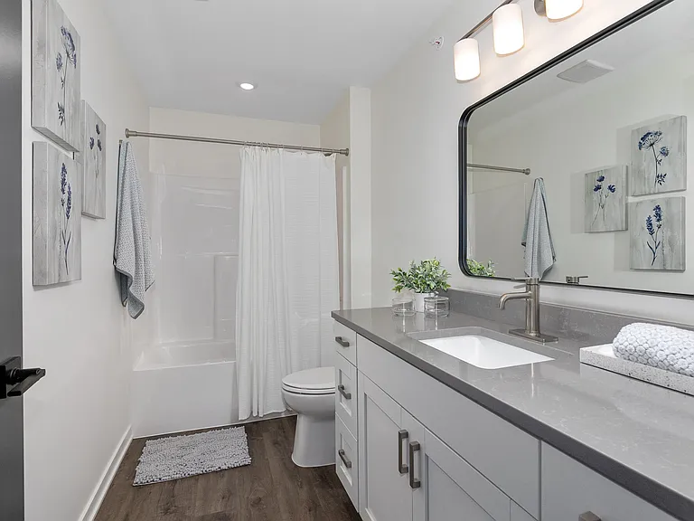 River Birch Apartment Homes — Photo 10