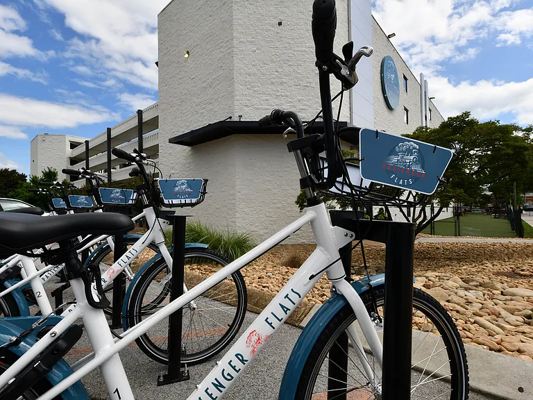 Passenger Flats Bicycles