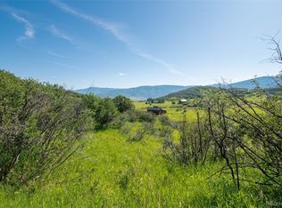 30370 Blacktail Ln, Oak Creek, CO 80467