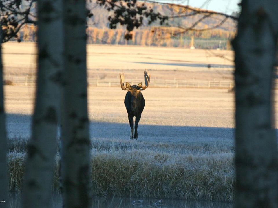 2nd image of 3359 Trout Creek Rd