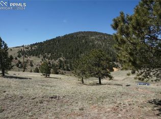 Vacant Land, Victor, CO 80860
