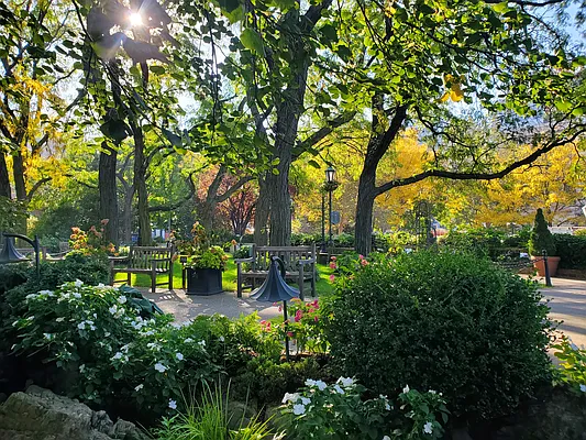 Rented by Bond New York | media 2