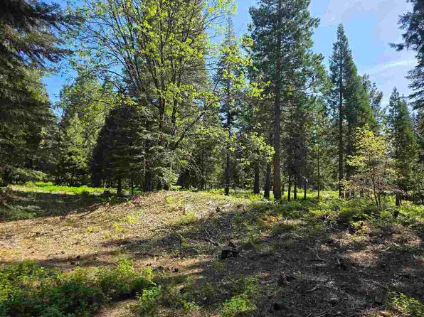 LOT 64 Old Mill Rd, McCloud, CA 96057