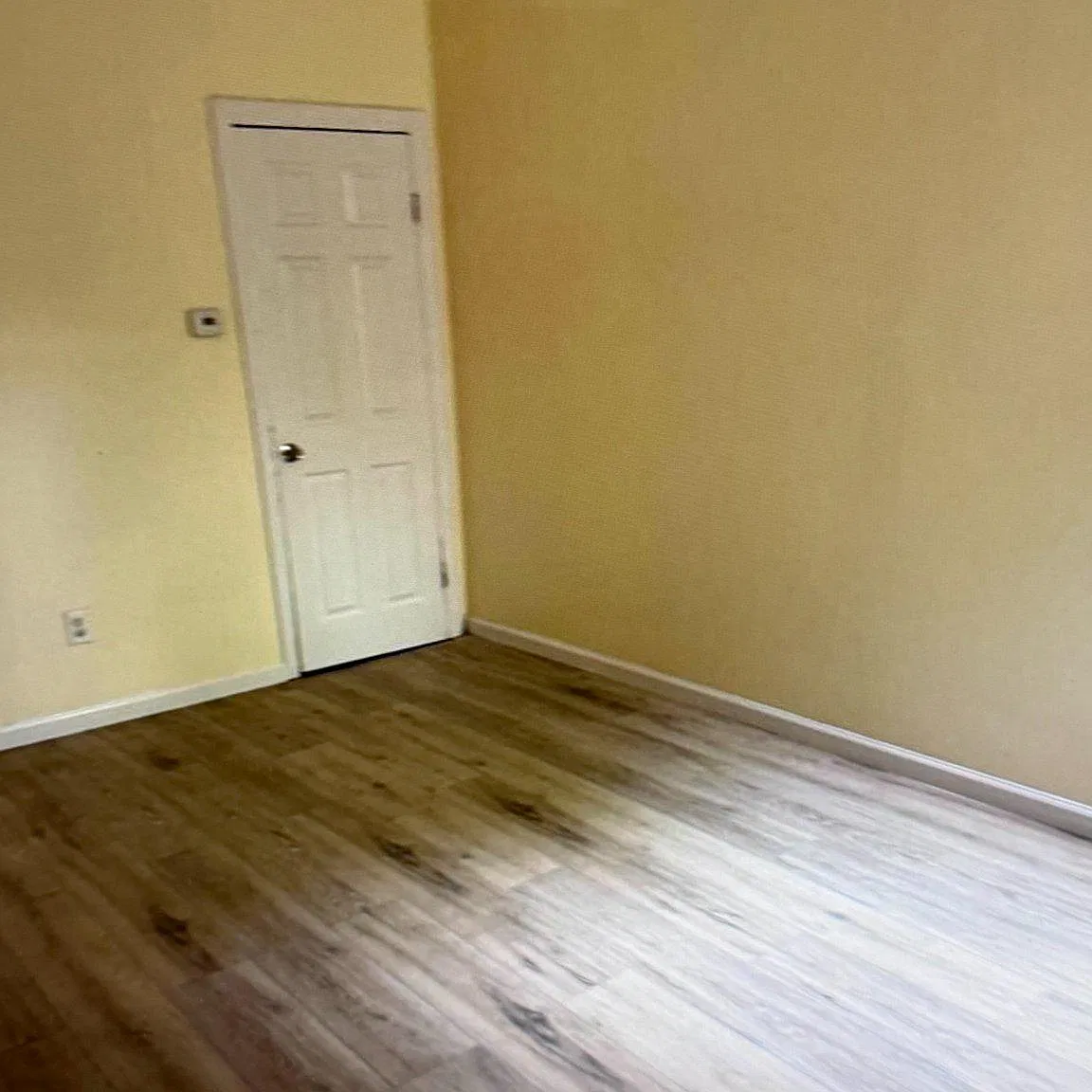 2 bed, 1.0 bath, 1156 sqft, $1,800 — Photo 4