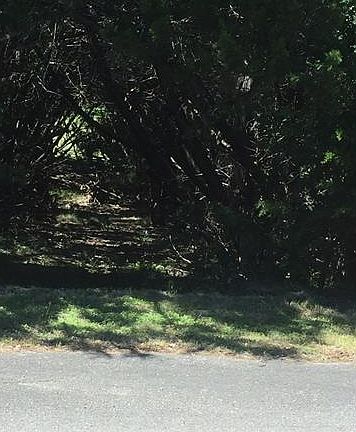 2nd image of 20705 Greenpark Dr