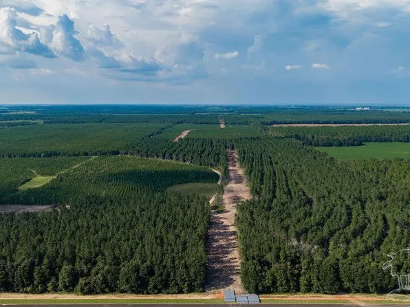 LOT 64 Posie Forest Rd, Milton, FL 32570
