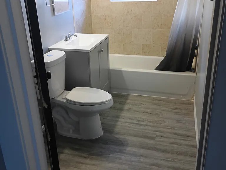 New vanity, toilet and flooring