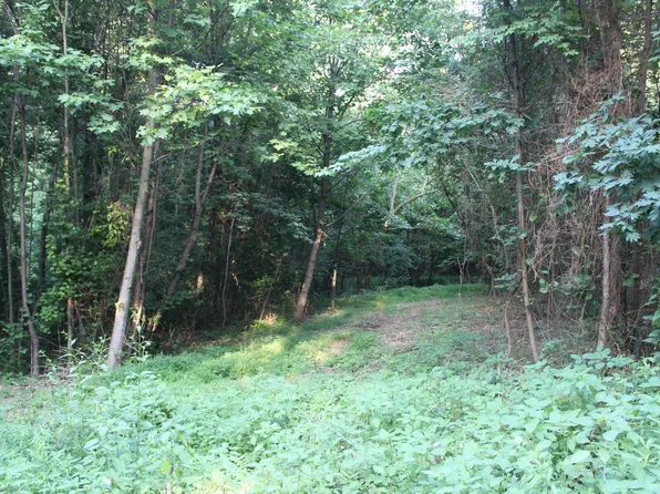 Big Hill Ln, Mount Solon, VA 22843
